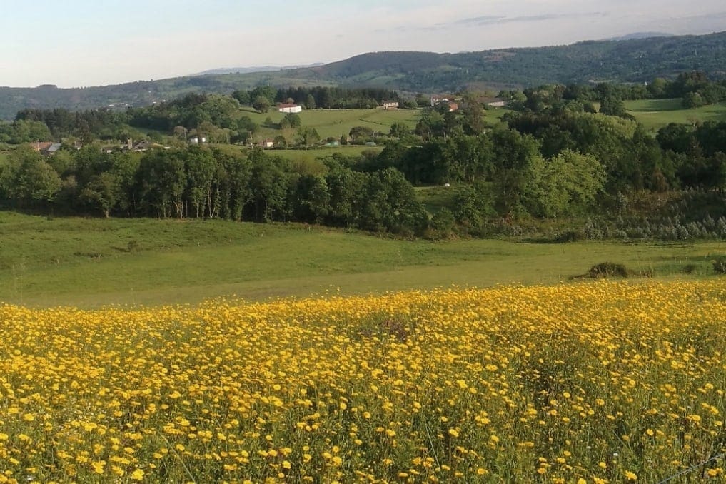 Sanxumil O Saviñao, Lugo