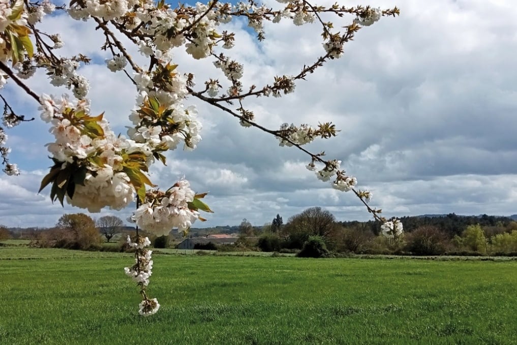 Mariz Chantada - Lugo