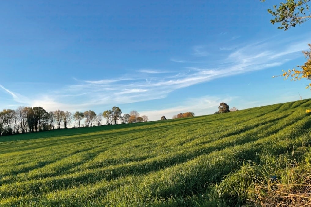 Casal de Arriba, Sobrado dos Monxes, A Coruña
