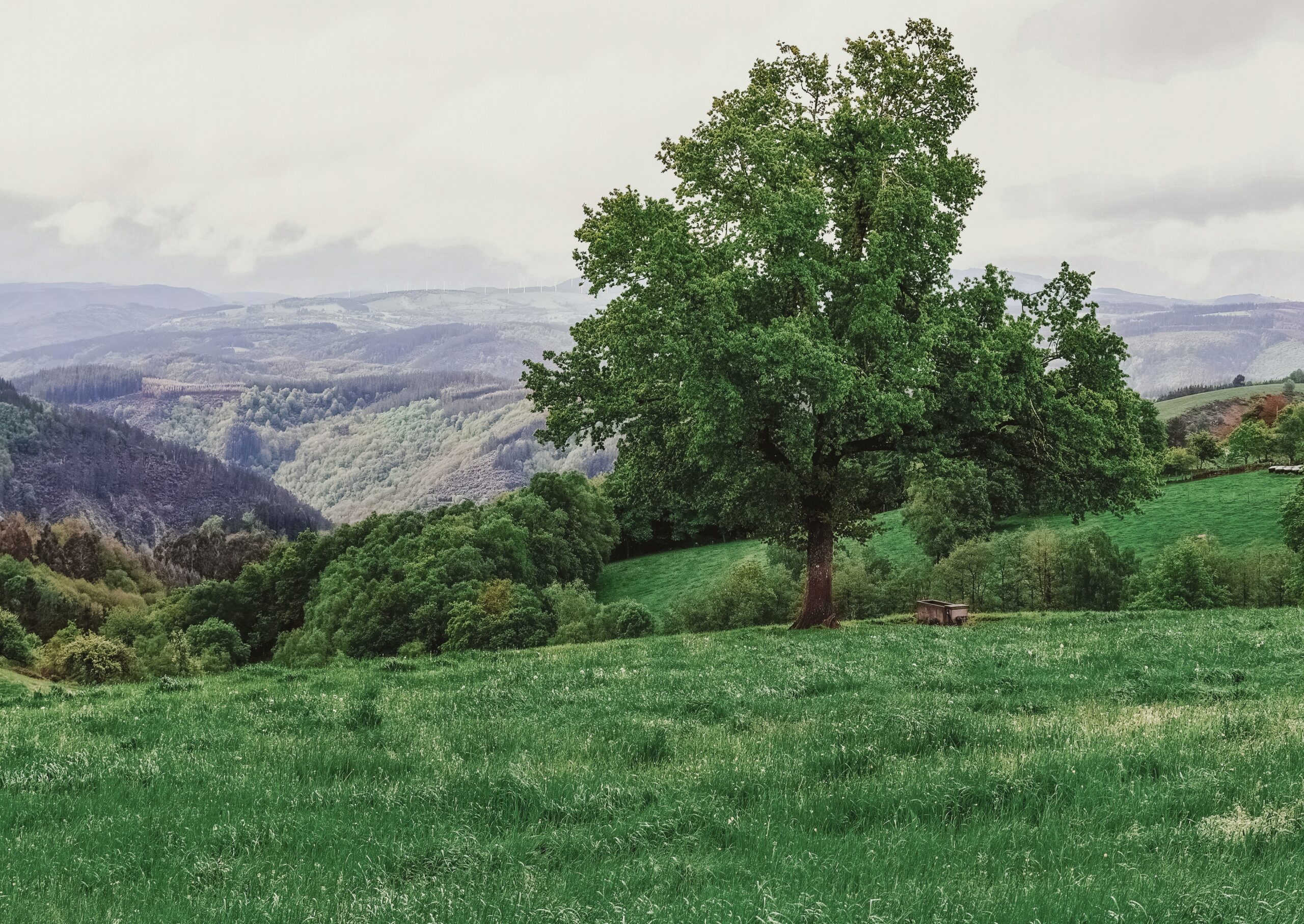 Braña - A Fonsagrada, Lugo